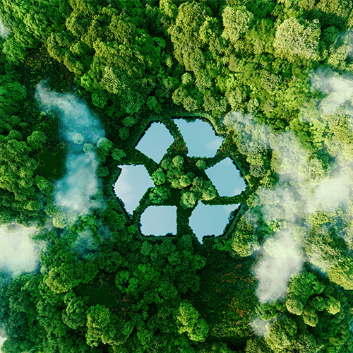 Nachhaltigkeit-Umwelt